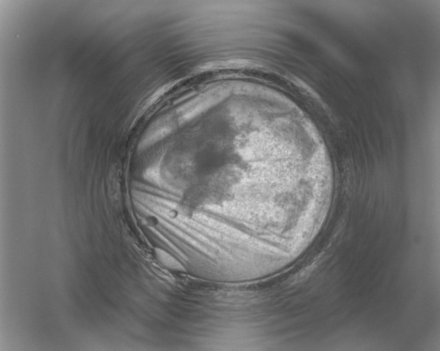 X0000054400921200508192001