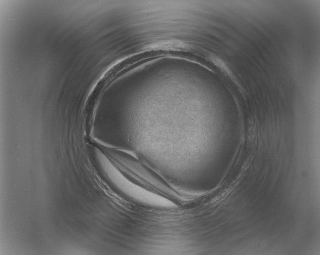 X0000054400923200508192001