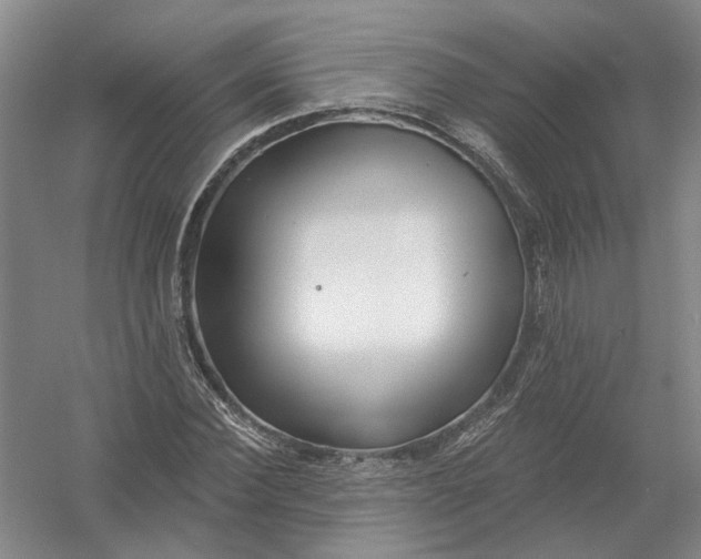 X0000054400924200508192001