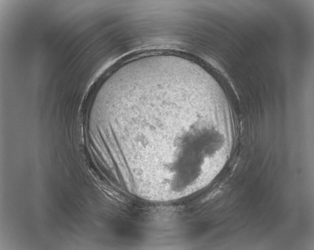 X0000054400925200508192001