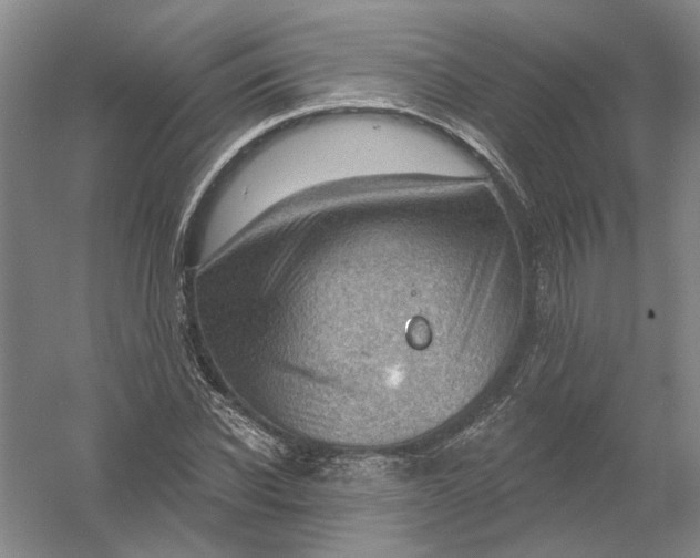 X0000054400926200508192001