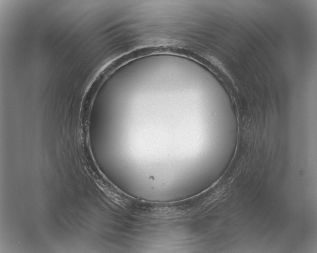 X0000054400927200508192001