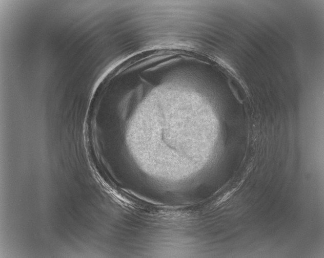 X0000054400928200508192001