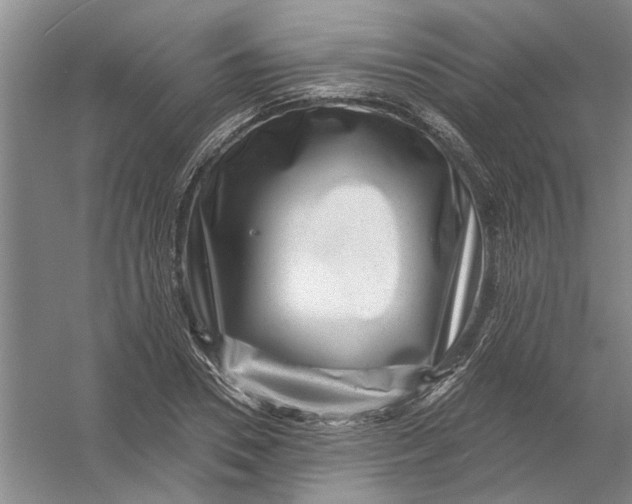 X0000054400930200508192001