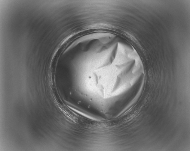 X0000054400931200508192001