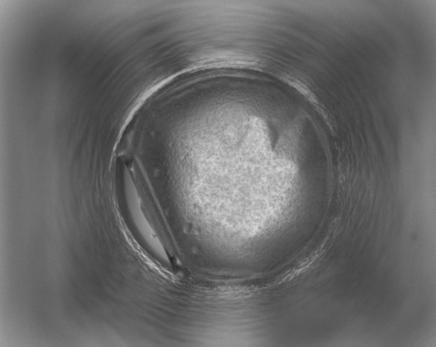 X0000054400933200508192001