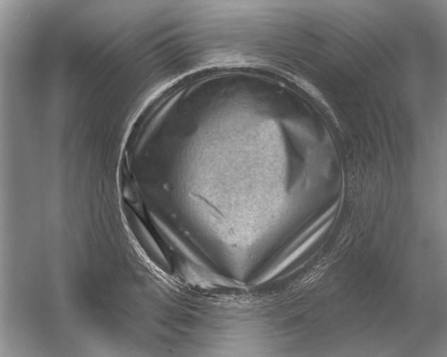 X0000054400935200508192001