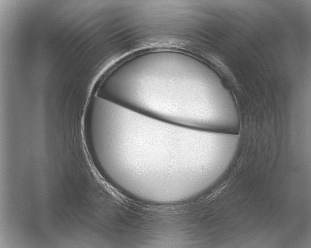 X0000054400936200508192001