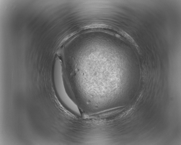 X0000054400937200508192001