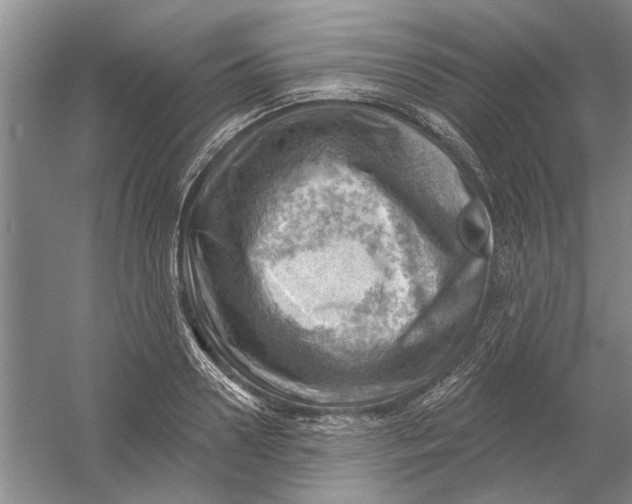 X0000054400938200508192001