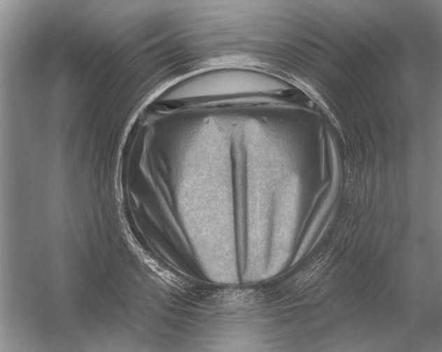 X0000054400939200508192001