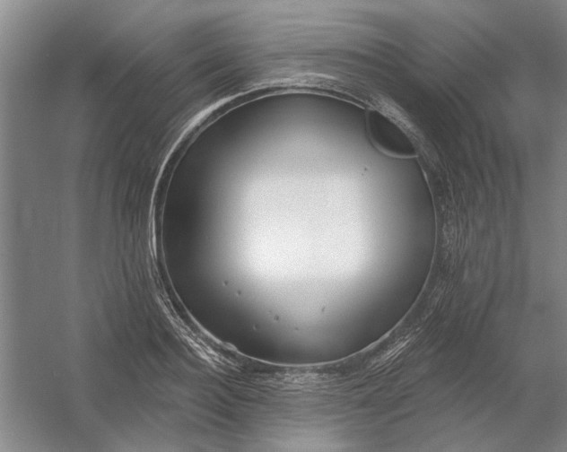 X0000054400940200508192001