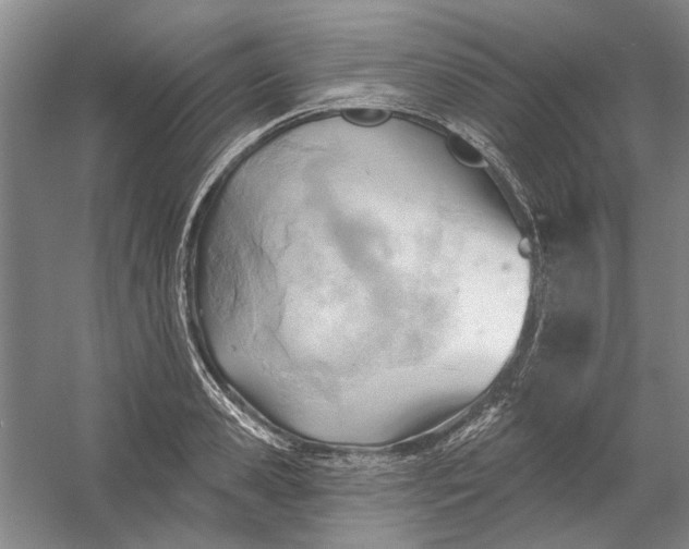 X0000054400941200508192001