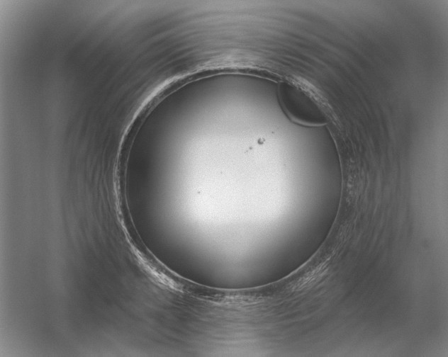 X0000054400942200508192001