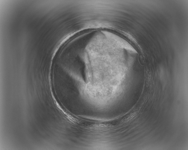 X0000054400943200508192001