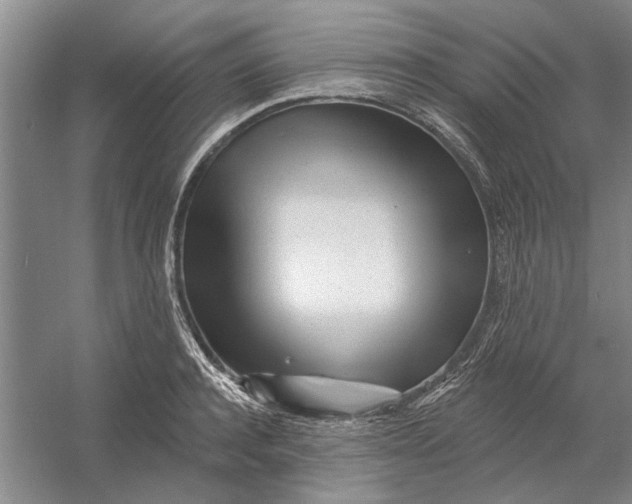 X0000054400944200508192001