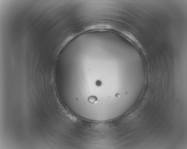 X0000054400945200508192001