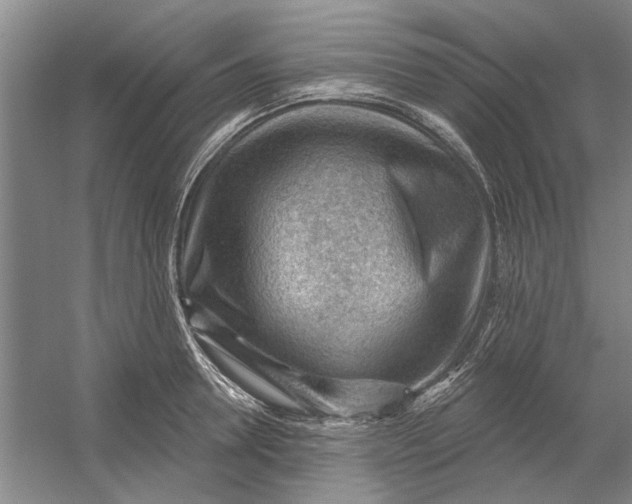 X0000054400946200508192001