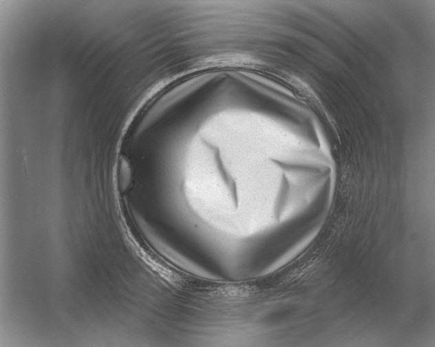 X0000054400947200508192001