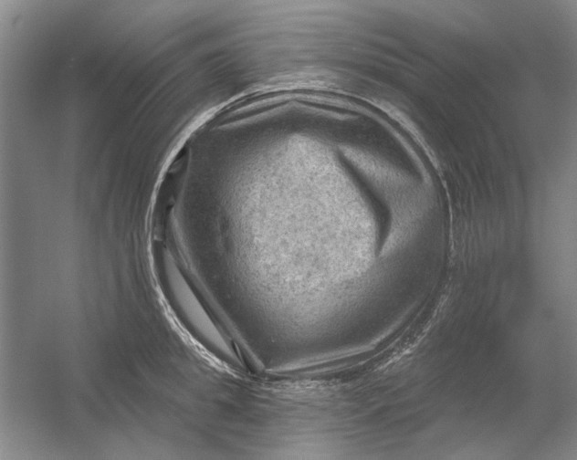 X0000054400949200508192001