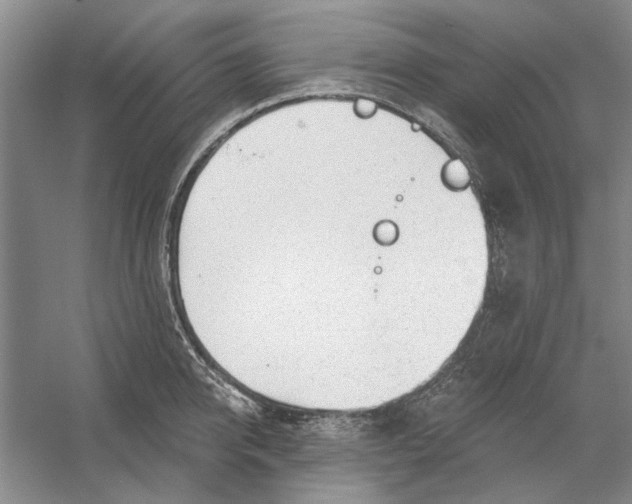 X0000054400950200508192001