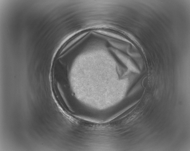 X0000054400951200508192001