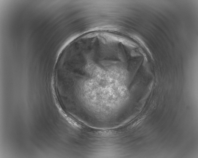 X0000054400952200508192001