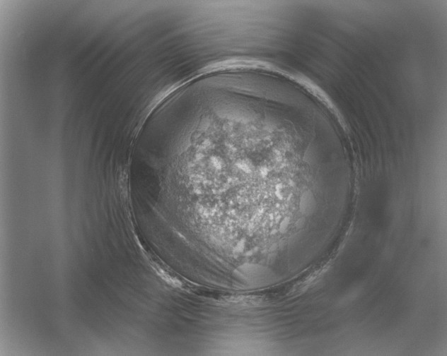 X0000054400953200508192001