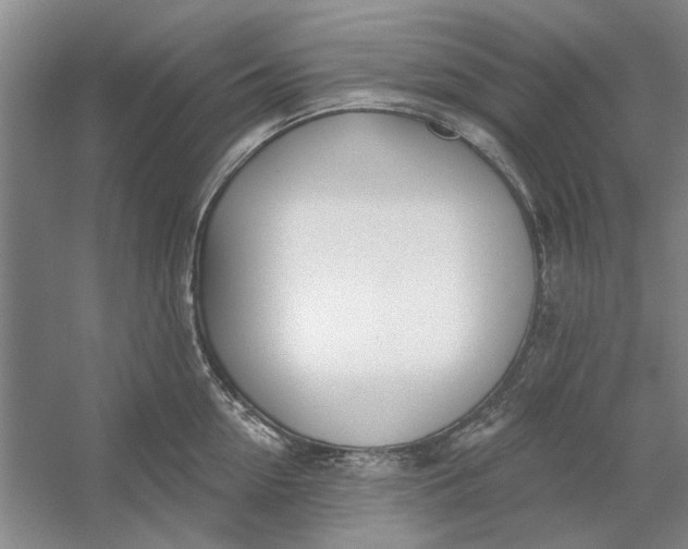 X0000054400954200508192001