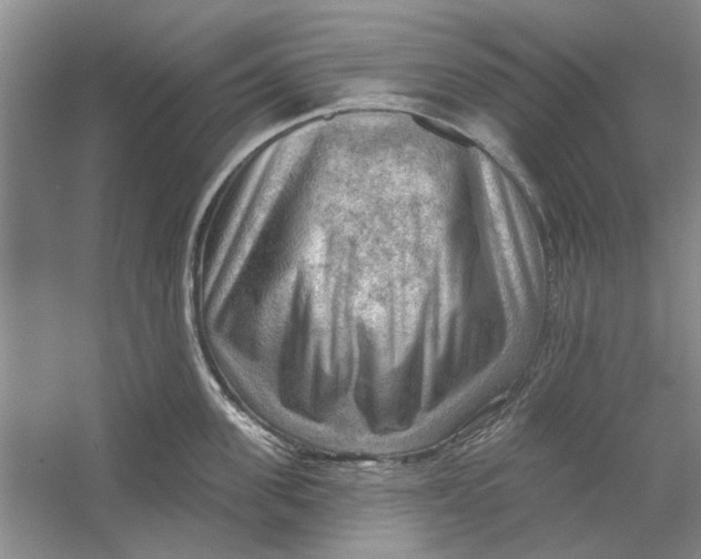 X0000054400955200508192001