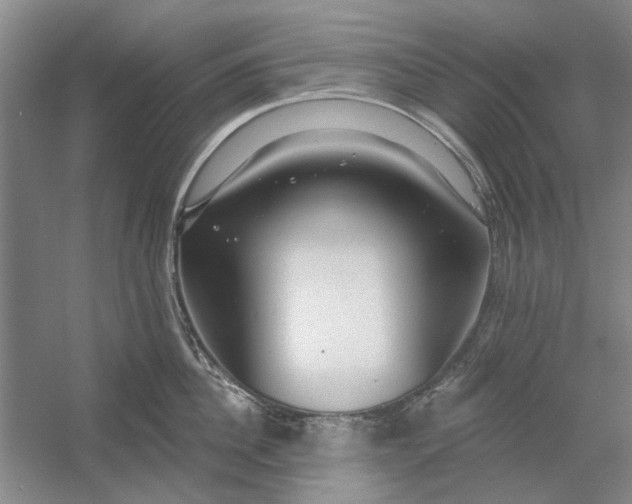 X0000054400956200508192001