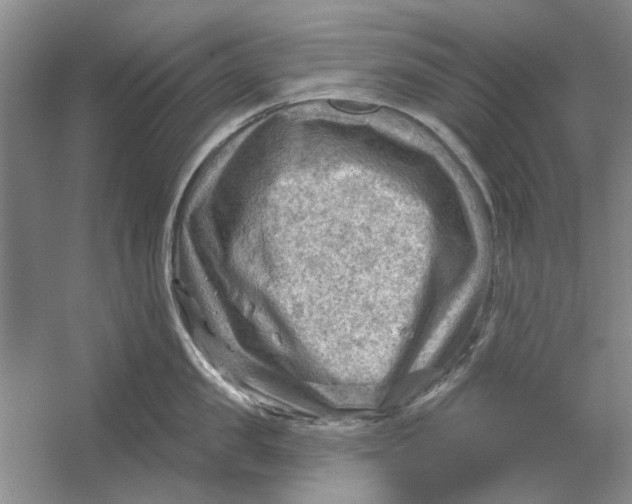 X0000054400957200508192001