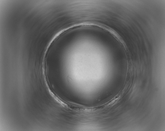 X0000054400958200508192001