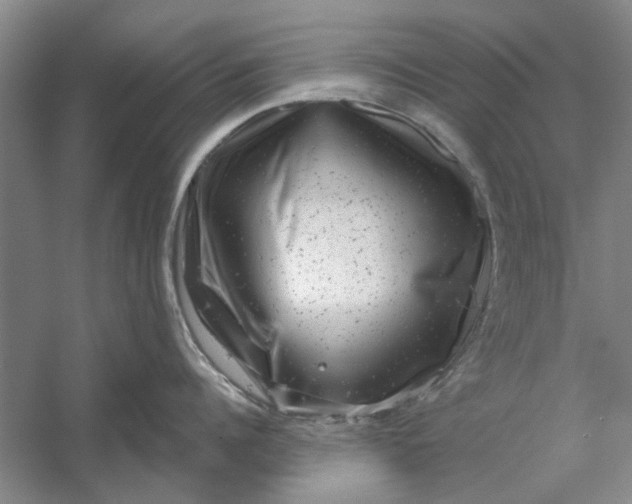 X0000054400960200508192001