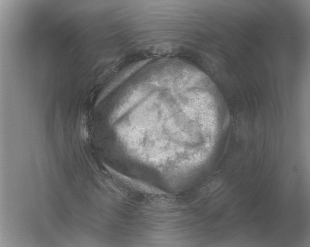 X0000054400962200508192001