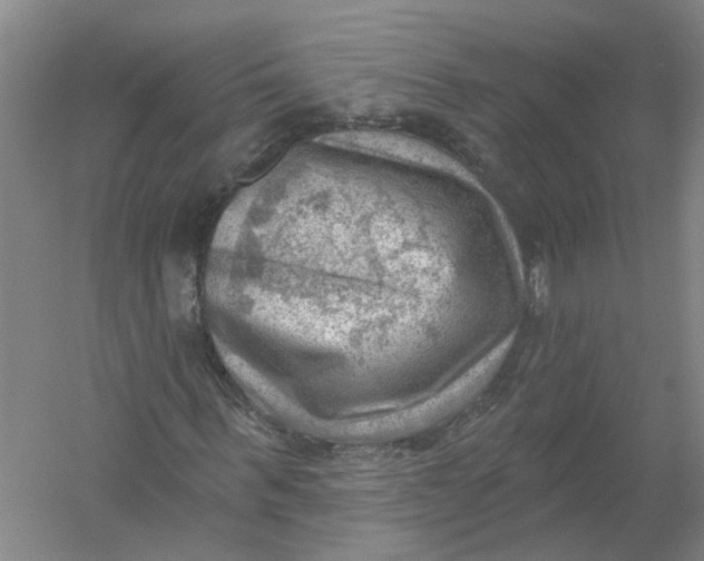 X0000054400963200508192001