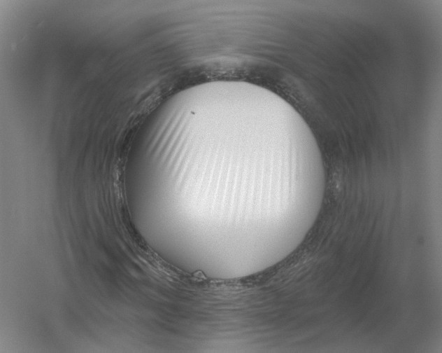 X0000054400964200508192001