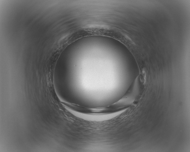 X0000054400965200508192001