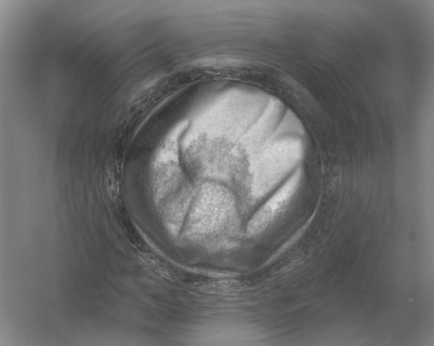 X0000054400966200508192001