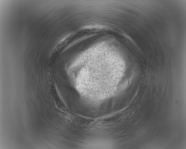 X0000054400967200508192001