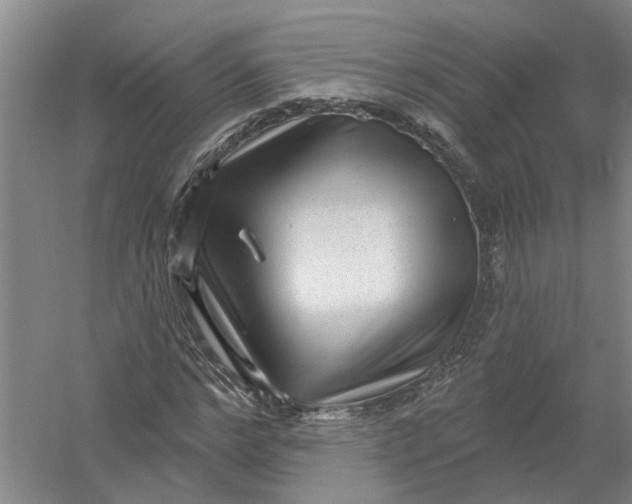 X0000054400968200508192001