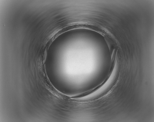 X0000054400969200508192001