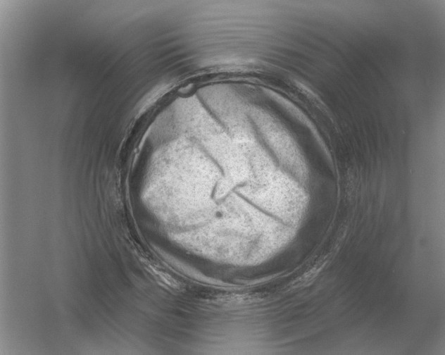 X0000054400970200508192001