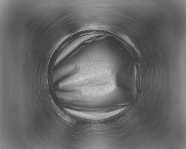 X0000054400972200508192000