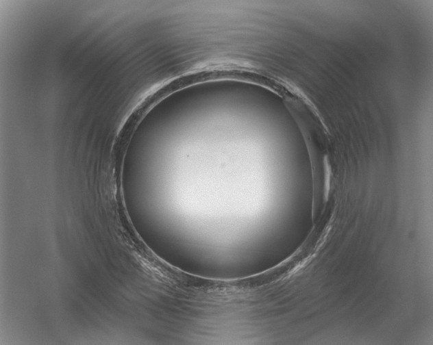 X0000054400973200508192000