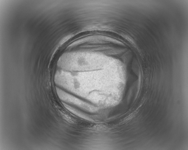 X0000054400974200508192000