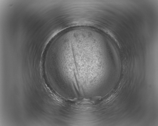 X0000054400975200508192000