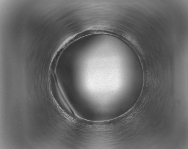 X0000054400976200508192000