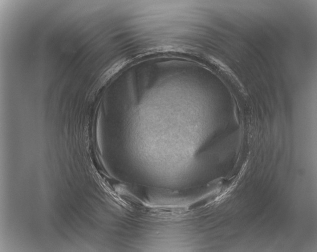 X0000054400977200508192000