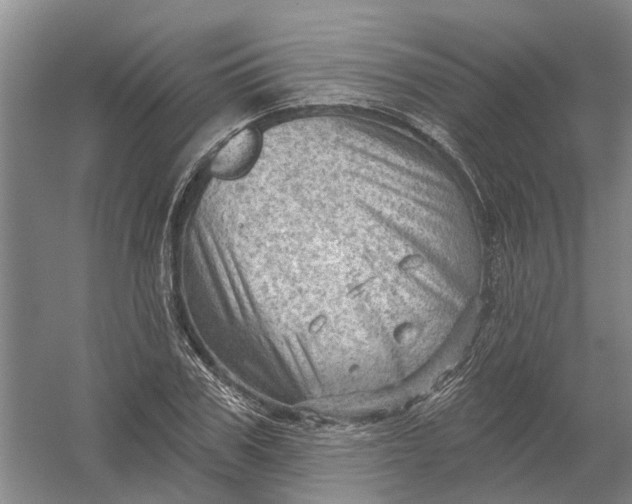 X0000054400979200508192000